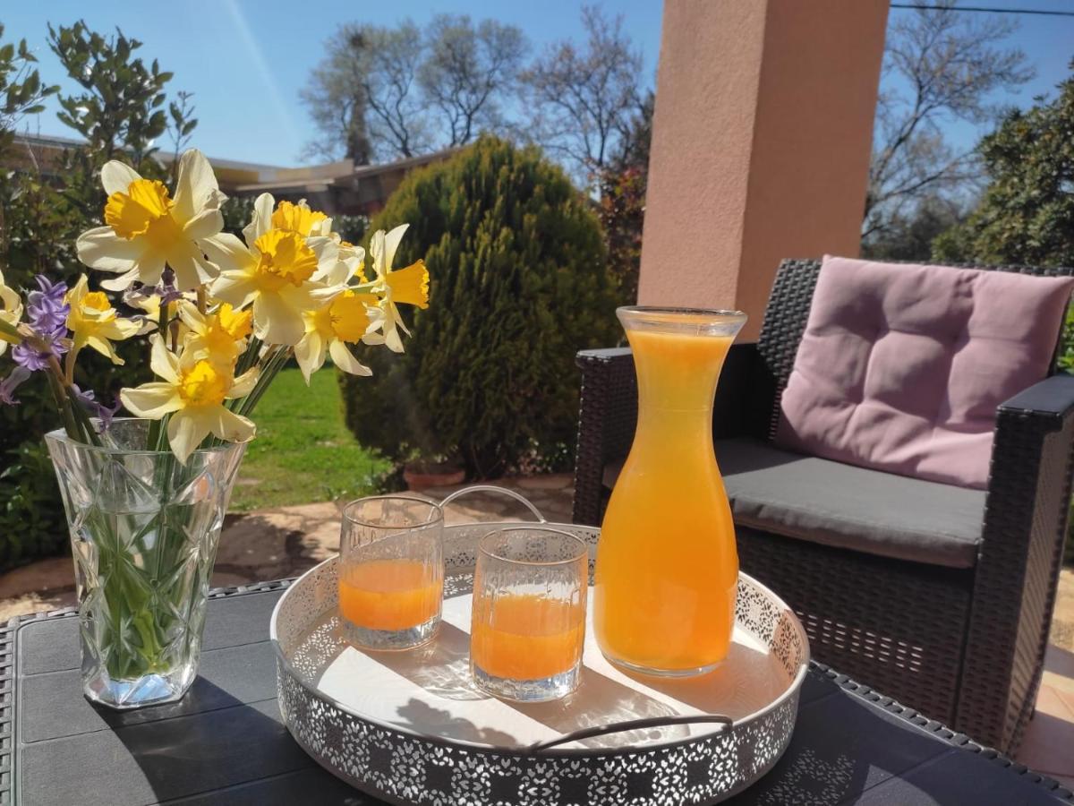 Apartament Casa Da Billy Pula Zewnętrze zdjęcie