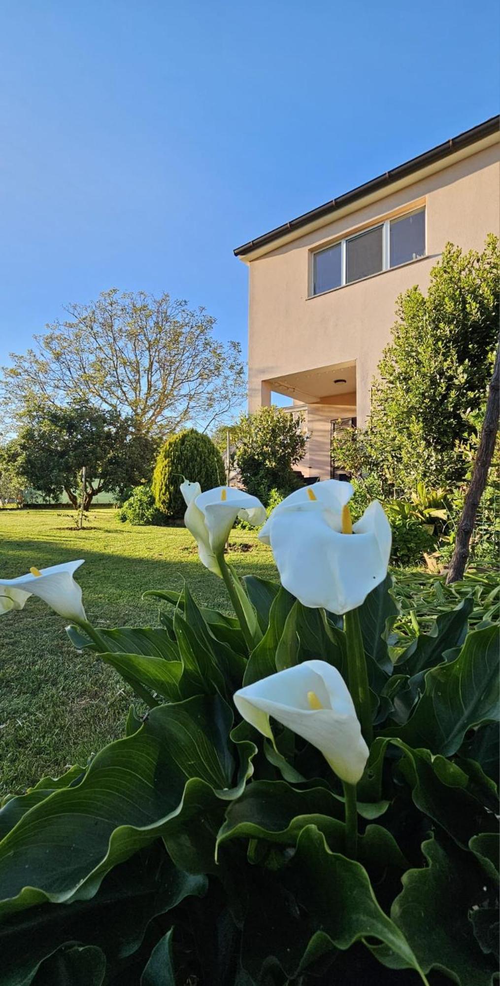 Apartament Casa Da Billy Pula Zewnętrze zdjęcie